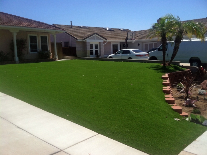 Best Artificial Grass Bodega Bay, California Design Ideas, Front Yard Landscaping Ideas