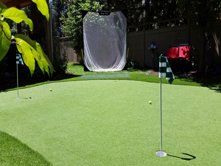 Best Artificial Grass Home Garden, California Putting Green, Backyard Landscape Ideas