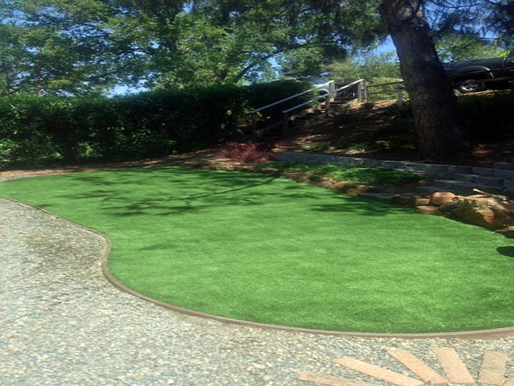 Best Artificial Grass Larkspur, California Design Ideas, Backyard Makeover