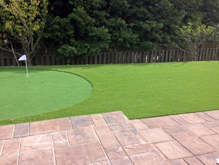 Best Artificial Grass Vine Hill, California Landscaping Business, Backyard Landscape Ideas