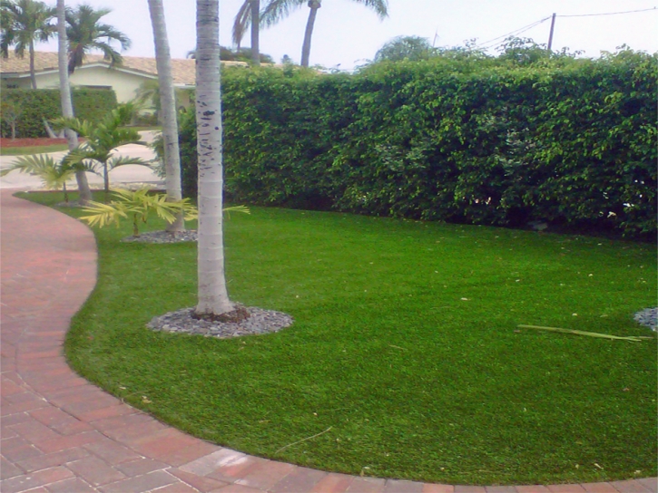 Fake Grass Carpet Collierville, California Roof Top, Front Yard Design