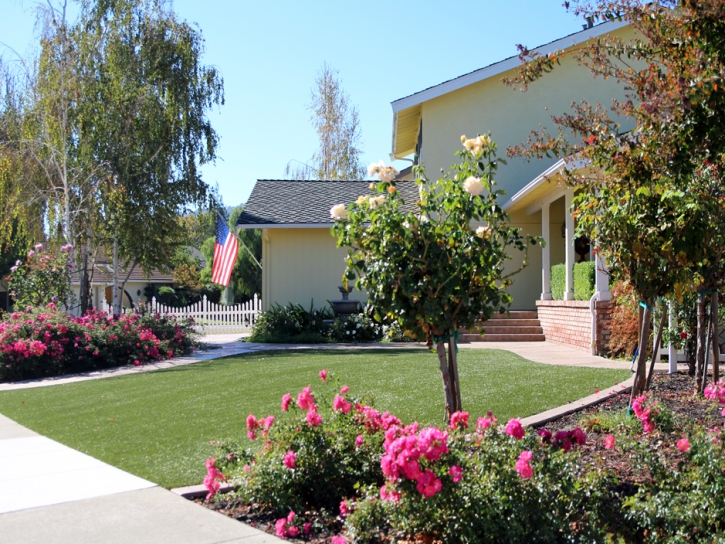 Fake Grass Carpet Parkwood, California Landscape Rock, Small Front Yard Landscaping