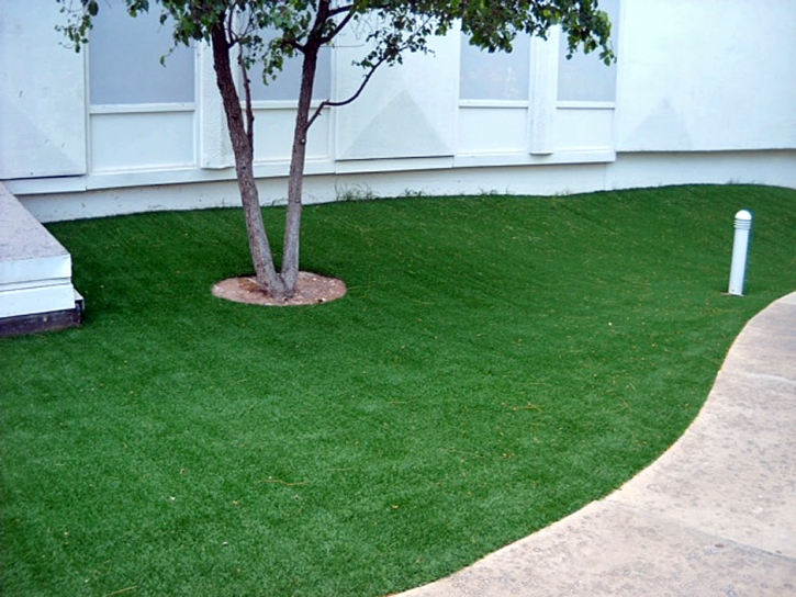 Fake Grass Carpet Tiburon, California Backyard Playground, Commercial Landscape