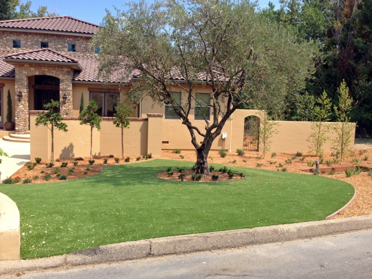 Fake Grass Carpet Tracy, California Landscaping Business, Front Yard Landscaping