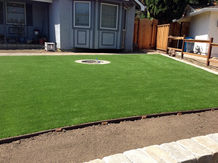 Fake Grass Carpet Woodbridge, California Lawn And Landscape, Front Yard Landscaping Ideas