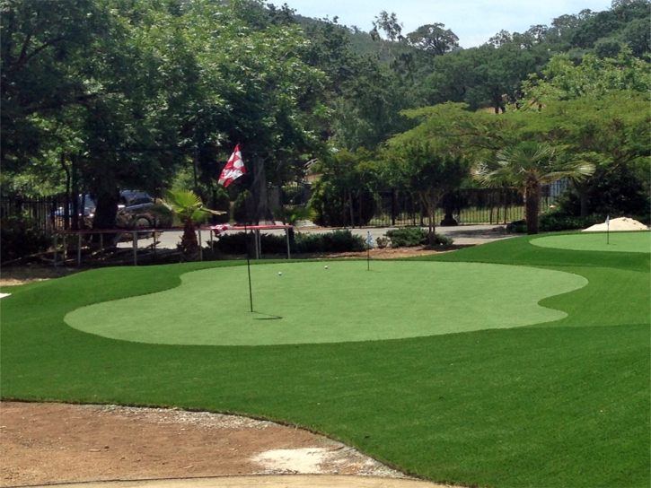 Fake Grass Corralitos, California Landscaping, Front Yard Ideas