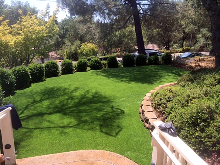 Fake Grass Hercules, California Garden Ideas, Backyard