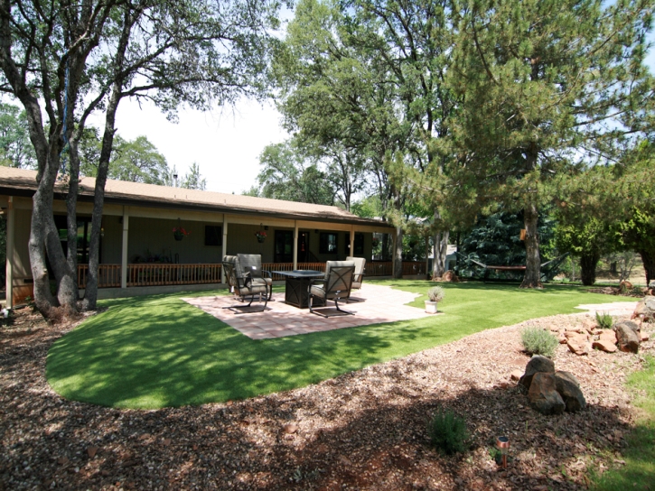 Fake Grass Kentfield, California Landscaping Business, Backyard Makeover