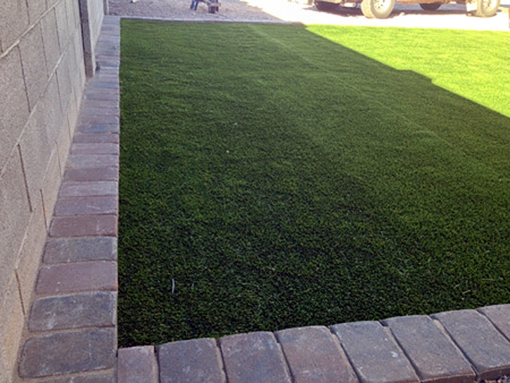 Fake Grass Live Oak, California Garden Ideas, Small Front Yard Landscaping