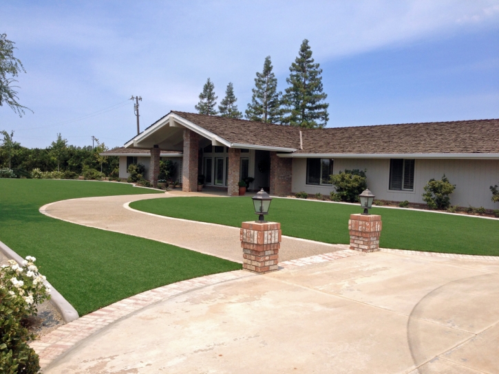 Fake Grass Rio Linda, California Design Ideas, Landscaping Ideas For Front Yard