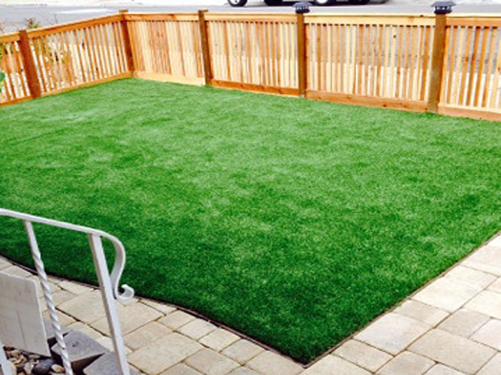 Fake Grass South Yuba City, California Lawn And Garden, Backyards