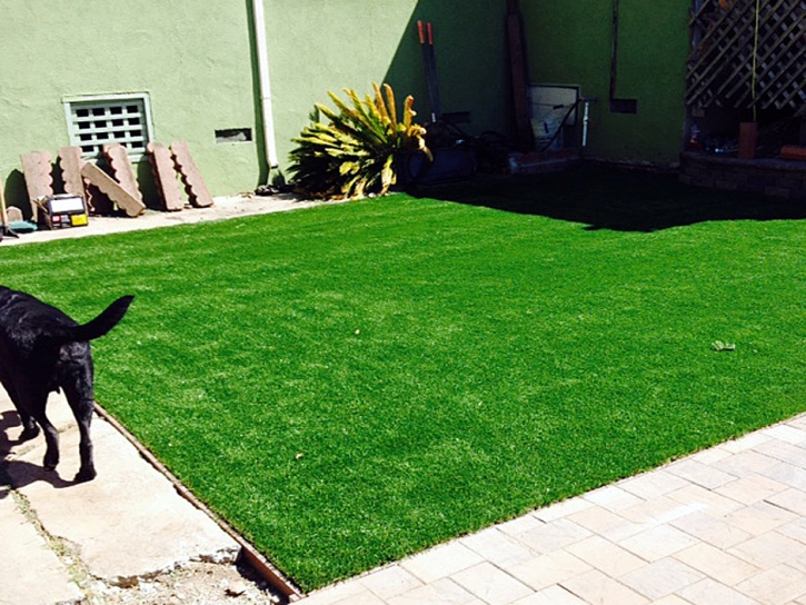 Fake Lawn Forest Meadows, California Lawn And Garden, Backyard Landscaping Ideas