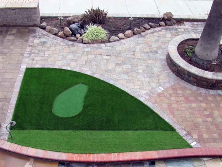 Fake Lawn Martinez, California How To Build A Putting Green, Front Yard