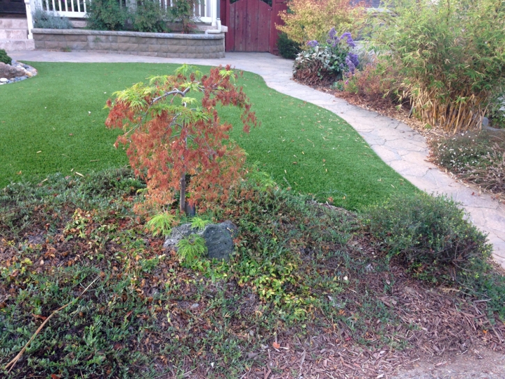 Fake Lawn Pacifica, California Landscaping, Small Front Yard Landscaping