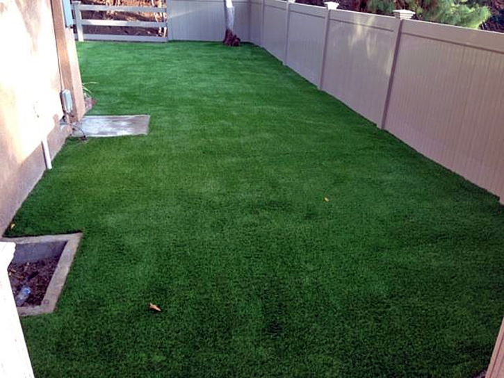 Fake Lawn Penngrove, California Gardeners, Small Backyard Ideas