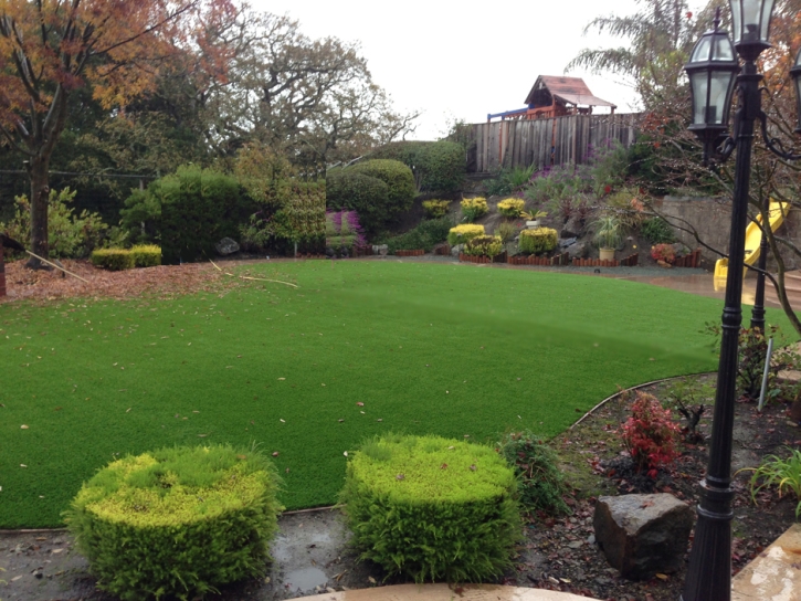 Fake Lawn Rollingwood, California Landscape Design, Backyard Design