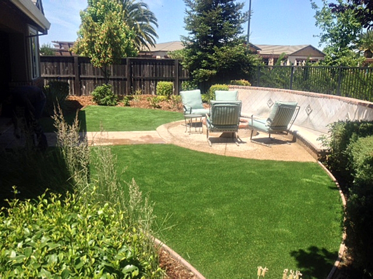 Fake Lawn San Ramon, California Landscaping Business, Backyard Landscaping