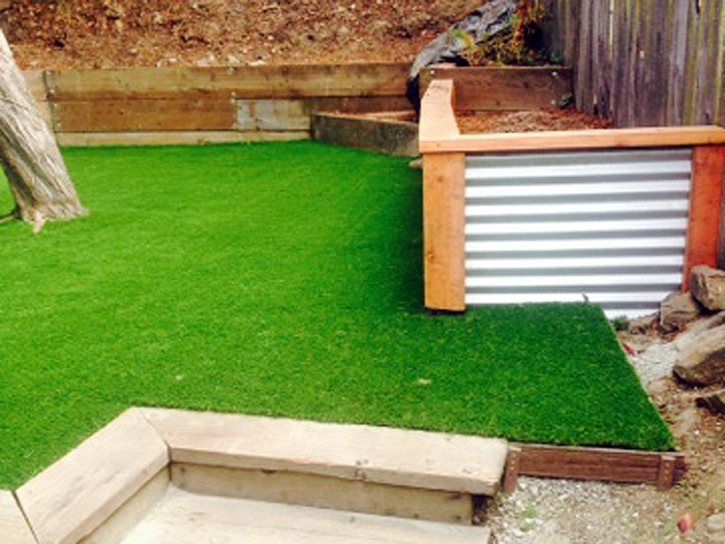 Fake Lawn Sutter, California Home And Garden, Backyard Landscape Ideas