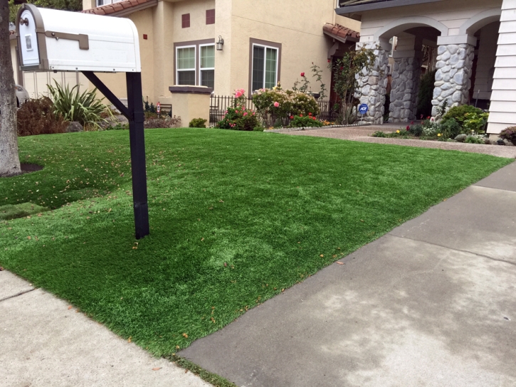 Fake Turf Burbank, California Lawns, Front Yard Design