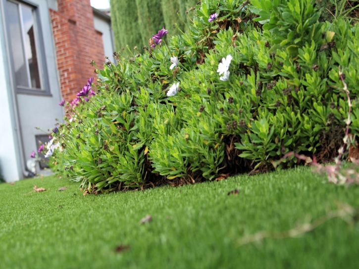 Fake Turf Discovery Bay, California City Landscape, Front Yard Landscape Ideas