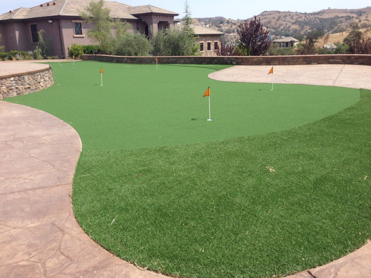 Fake Turf Elkhorn, California Indoor Putting Green