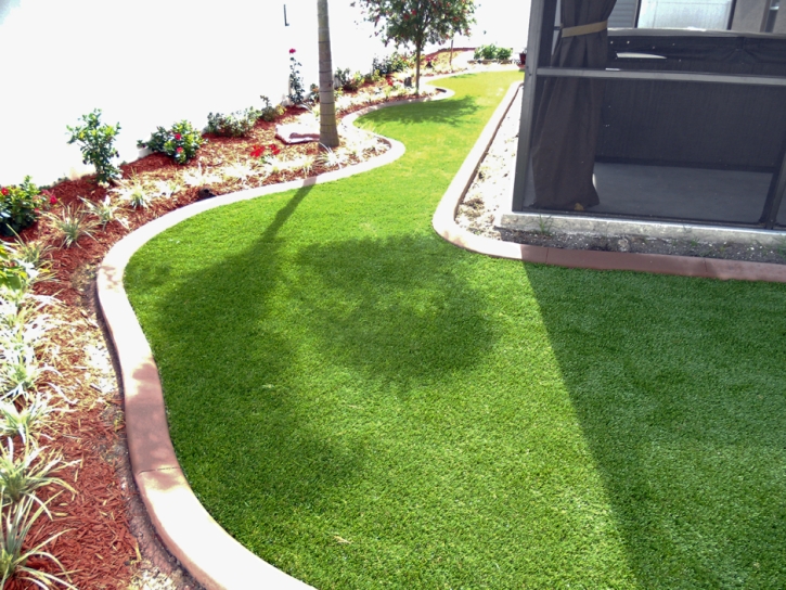 Fake Turf Escalon, California Lawn And Garden, Backyard Design