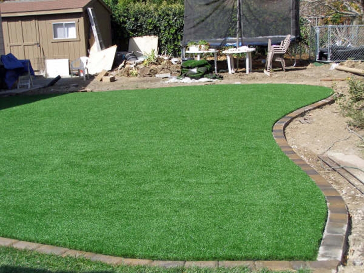 Fake Turf Lompico, California Landscaping, Backyard Designs