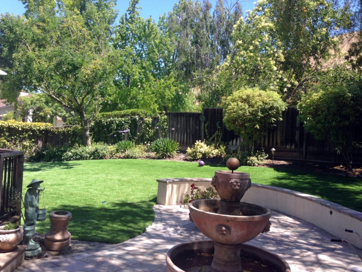 Fake Turf North Fair Oaks, California Landscape Ideas, Backyard Landscape Ideas