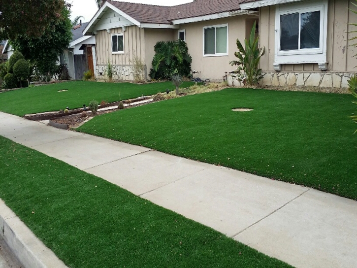 Faux Grass Colfax, California Lawns, Front Yard Landscape Ideas