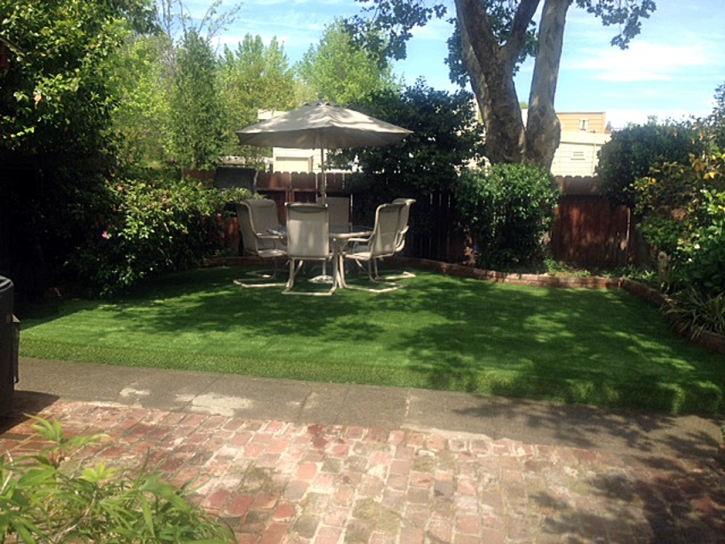 Faux Grass Diablo, California Garden Ideas, Backyard Landscaping