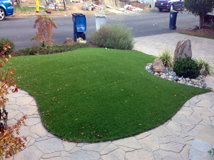 Faux Grass East Palo Alto, California Home And Garden