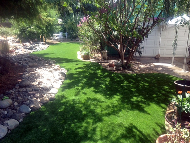 Faux Grass Hayward, California Rooftop, Backyard Garden Ideas