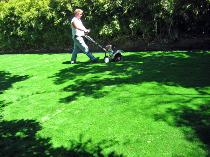 Faux Grass Kettleman City, California Rooftop, Backyard Design