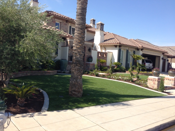 Faux Grass Morada, California Lawn And Landscape, Front Yard