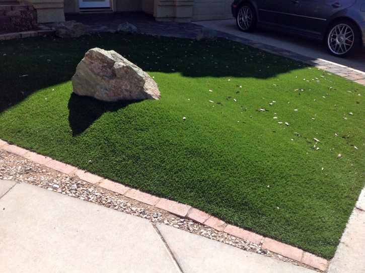 Faux Grass Quincy, California Garden Ideas