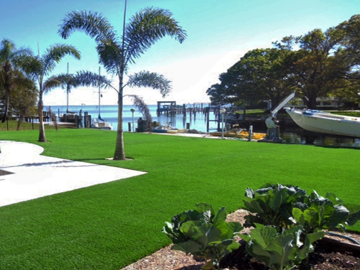 Faux Grass San Martin, California Landscape Photos, Backyard Garden Ideas