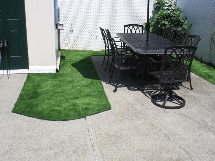 Grass Carpet Armona, California Landscape Photos, Backyard Landscaping