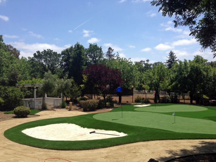 Grass Carpet Buena Vista, California Landscape Design, Front Yard Ideas