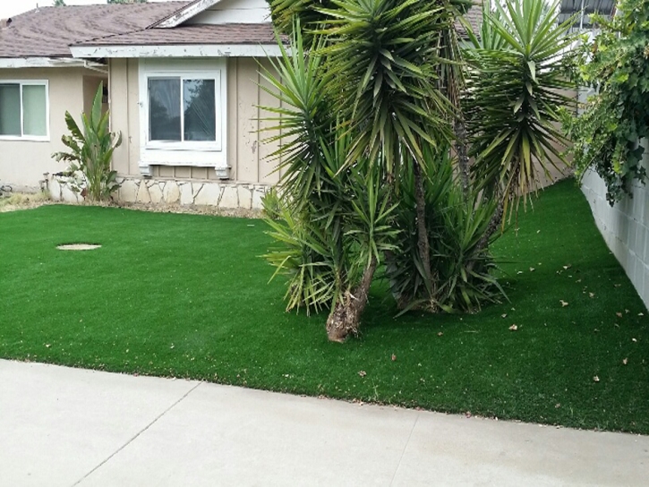 Grass Carpet Chowchilla, California Landscaping, Front Yard Landscaping Ideas