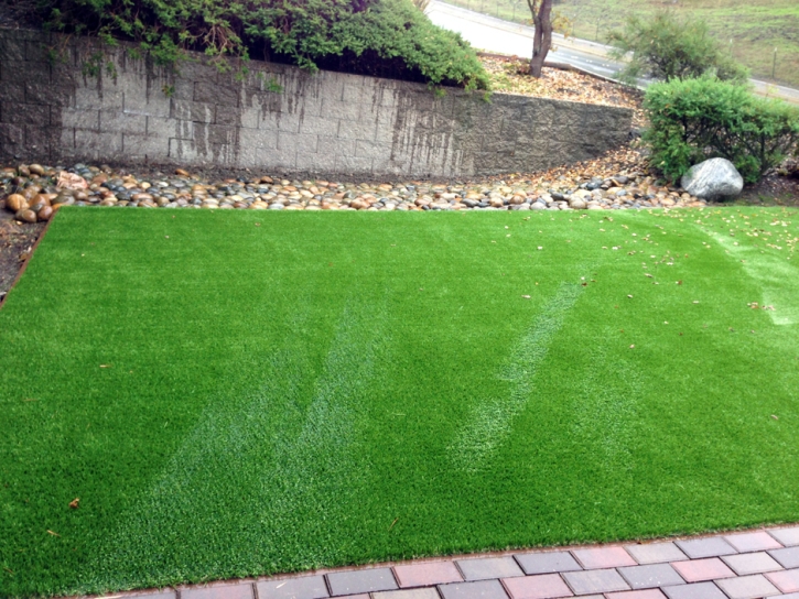 Grass Carpet East Richmond Heights, California Gardeners, Backyard Landscaping