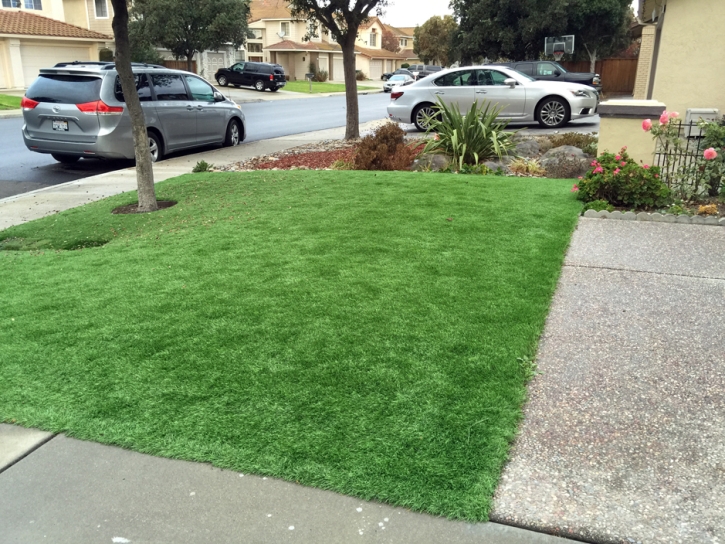 Grass Carpet Kenwood, California Landscape Design, Front Yard Ideas