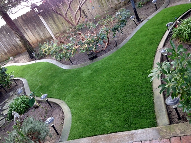 Grass Carpet Modesto, California Garden Ideas, Backyard Landscaping