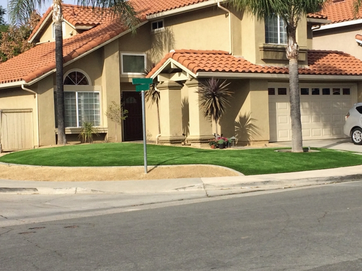 Grass Carpet Santa Cruz, California Home And Garden, Front Yard Design