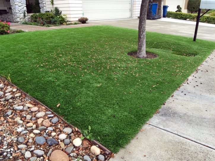 Grass Carpet Santa Rosa, California Landscaping, Front Yard Landscaping