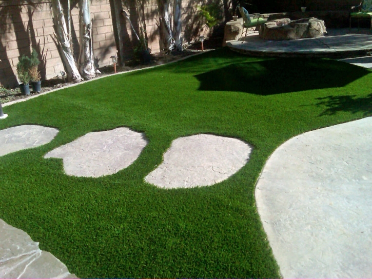 Grass Carpet Saratoga, California Design Ideas, Backyard Designs