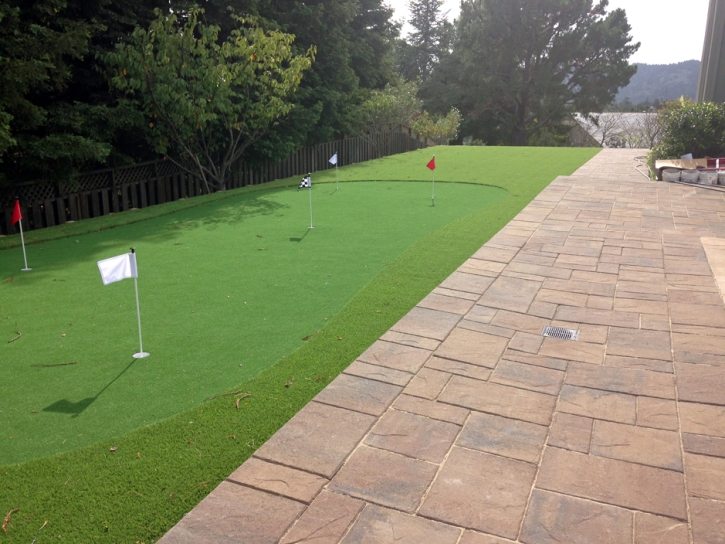 Grass Carpet Thornton, California Putting Green Flags, Backyard Makeover