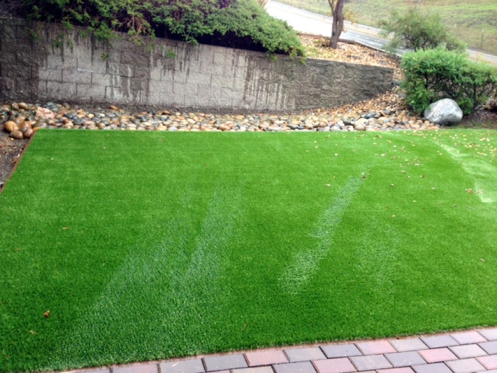 Grass Turf Bolinas, California Landscaping Business, Front Yard Landscaping Ideas