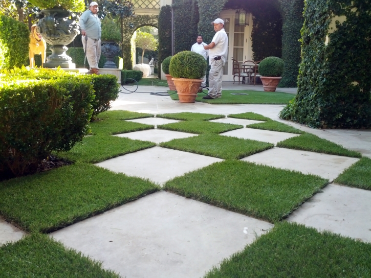 Grass Turf Lucas Valley-Marinwood, California Design Ideas, Pavers