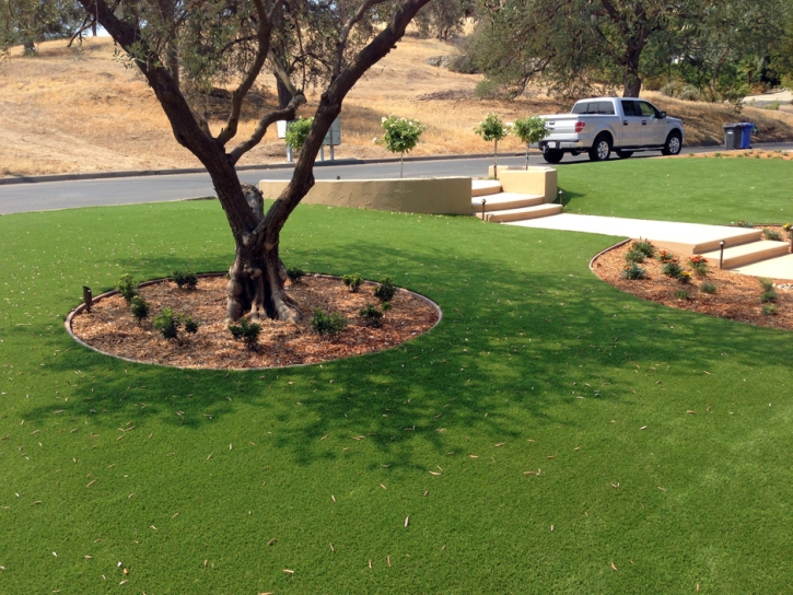 Grass Turf Sutter Creek, California Lawn And Garden, Front Yard Landscape Ideas