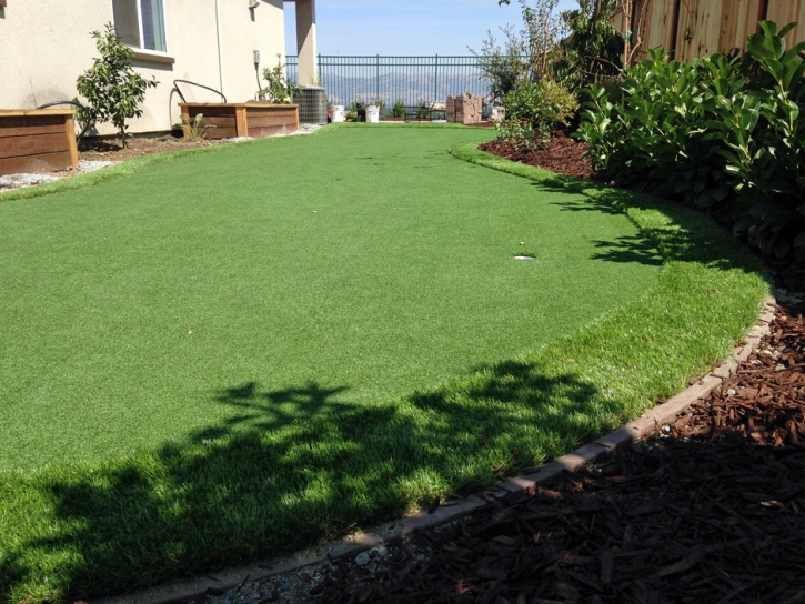 Green Lawn Eldridge, California Lawn And Garden, Backyard Garden Ideas